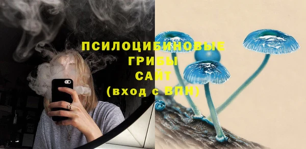 а пвп мука Аркадак