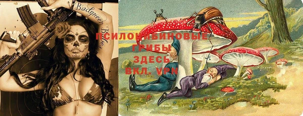 ПСИЛОЦИБИНОВЫЕ ГРИБЫ Арсеньев