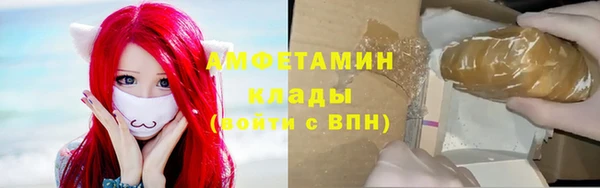 ПСИЛОЦИБИНОВЫЕ ГРИБЫ Арсеньев