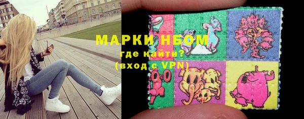 ПСИЛОЦИБИНОВЫЕ ГРИБЫ Арсеньев
