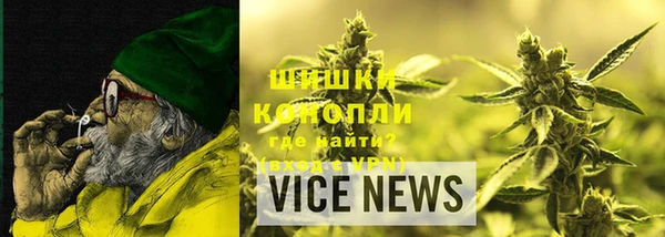 ПСИЛОЦИБИНОВЫЕ ГРИБЫ Арсеньев