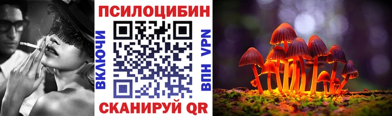 Псилоцибиновые грибы Psilocybine cubensis  закладки  Новоульяновск 