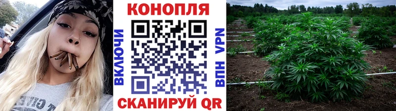 kraken зеркало  дарнет шоп  Новоульяновск  МАРИХУАНА тримм 